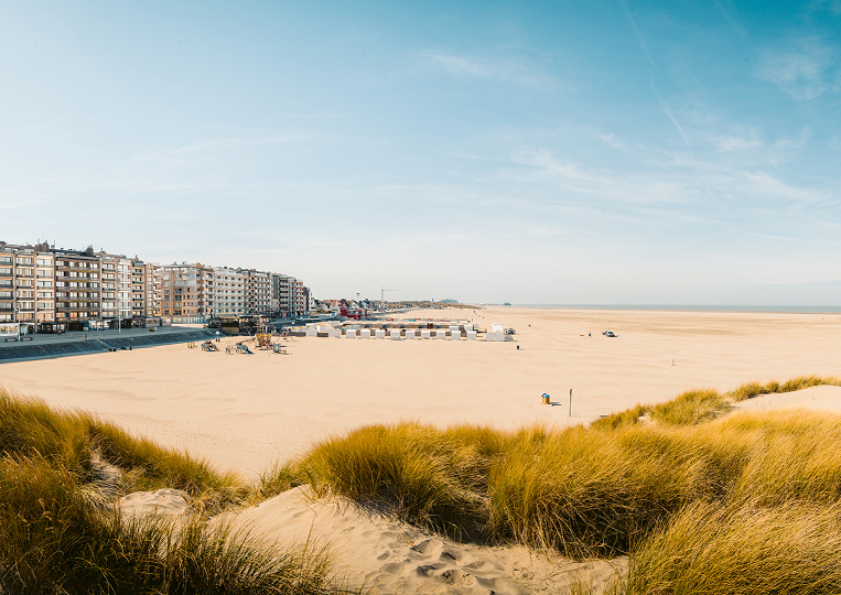 Wens je spontaan te solliciteren?